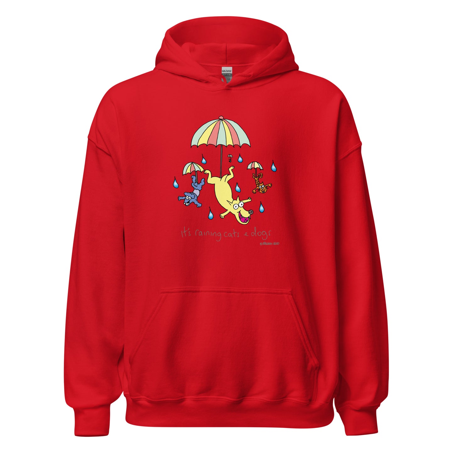 It's raining cats and dogs - Women's Hoodie