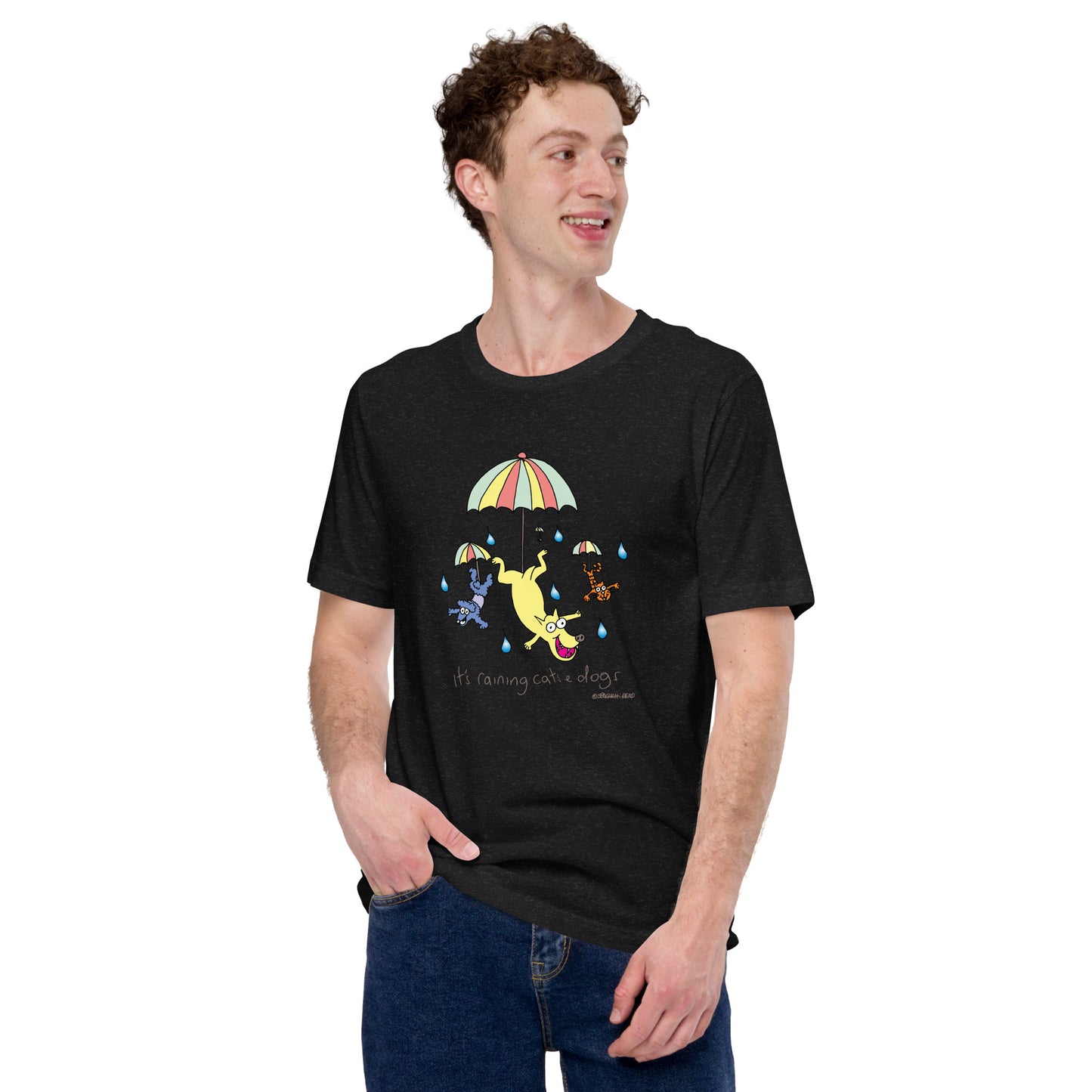 It's raining Cats n Dogs - Mens t-shirt