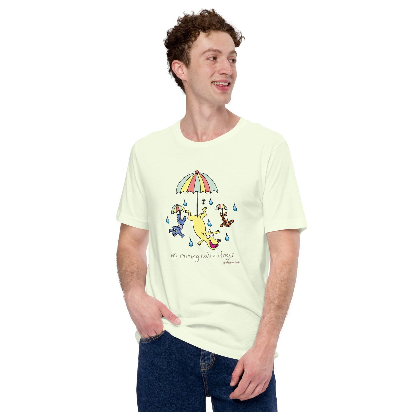 It's raining Cats n Dogs - Mens t-shirt